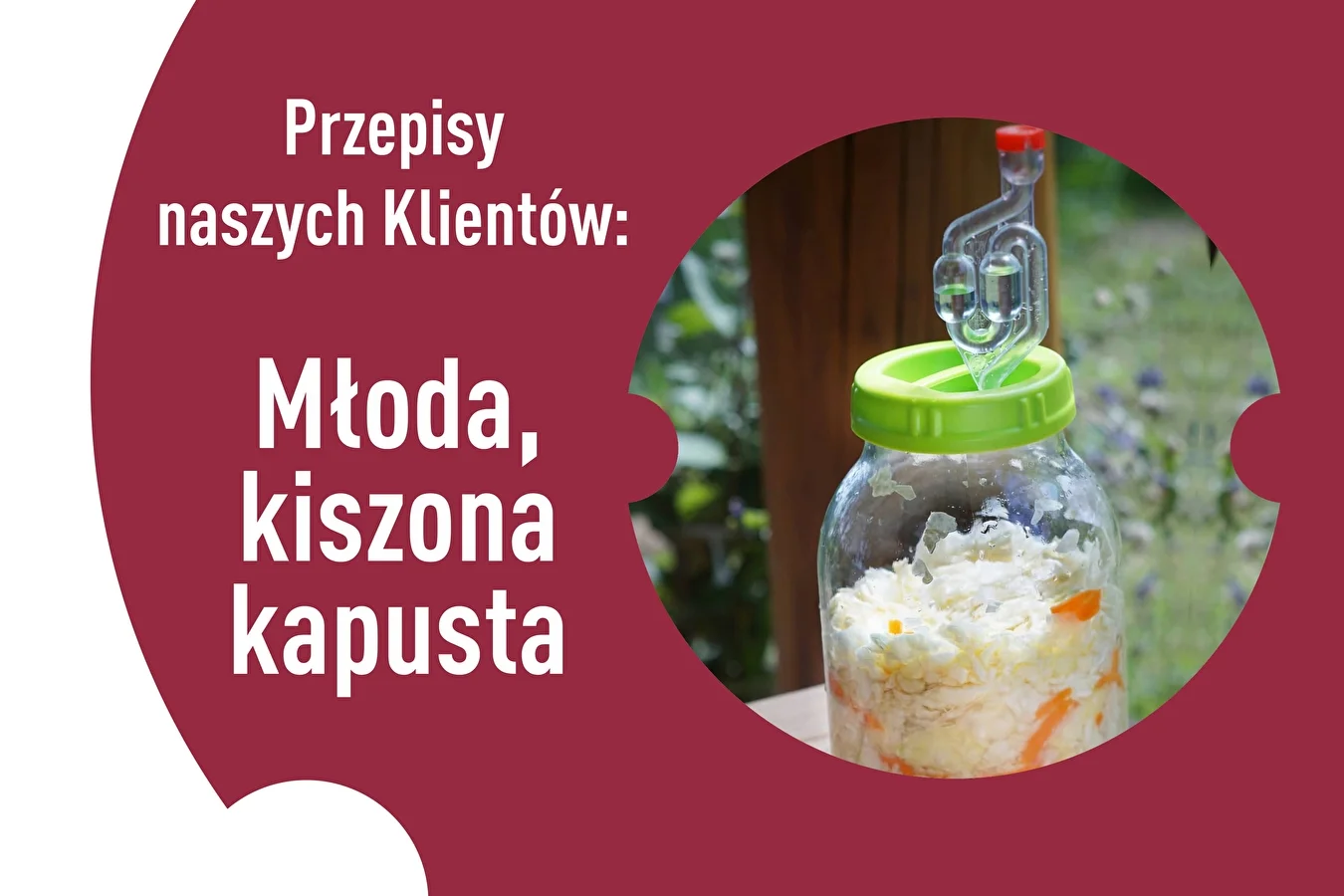 Ügyfeleink receptjei: Savanyított zsenge káposzta