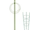 Gyűrűs növénytámasz, 3 gyűrűvel, 0,7 m - 13 