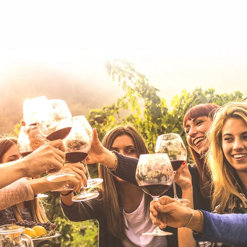 15 l-es borkészítő készlet üvegballonnal - 15