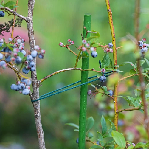 Bioogród kerti karók – bevonatos acél, 1,8 m, Ø 11 mm, 10 db - 4