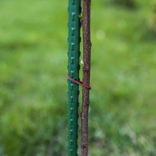 Bioogród kerti növénytámasz karók – bevonatos acél, 1,5 m, Ø 11 mm, 10 db - 5