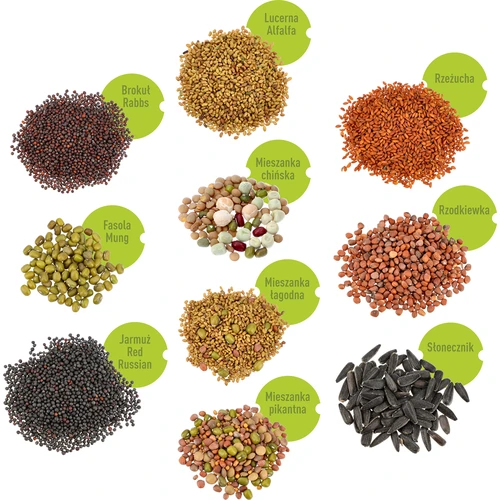 Csíráztatási magkészlet - 10 csomag - 3