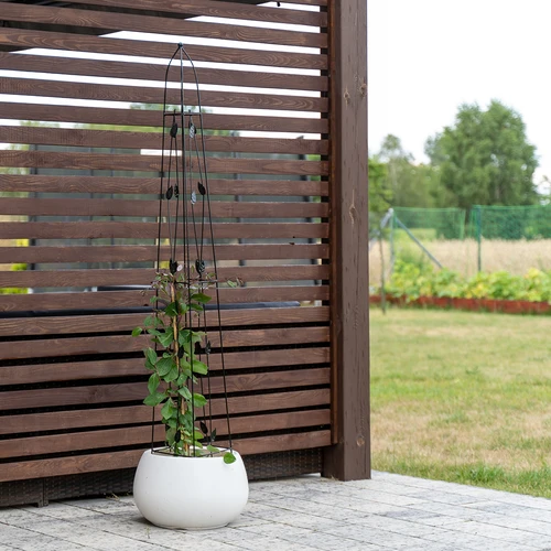 Díszpergola - Piramis, 150 cm - 5