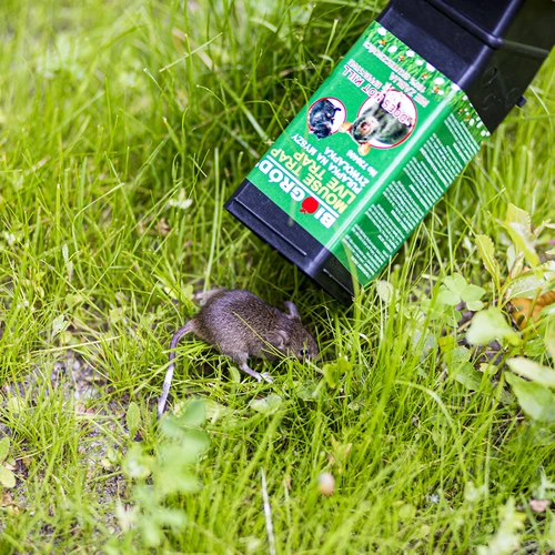 Egércsapda - élvefogó csapda - 10