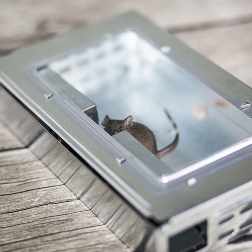 Fém egércsapda – élvefogó - 8