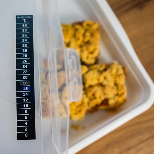 Folyadékkristályos hőmérő (0°C-tól +40°C-ig) 15cm - 5