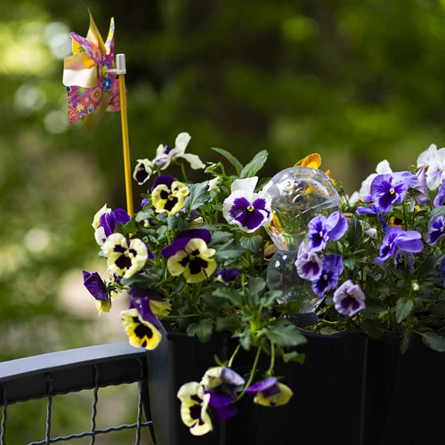 Hármas (háromkamrás) öntözőgömb, átlátszó, színtelen, 600 ml - 9