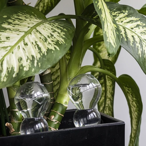 Hármas (háromkamrás) öntözőgömb, átlátszó, színtelen, kerámia tüskével, 600 ml - 8