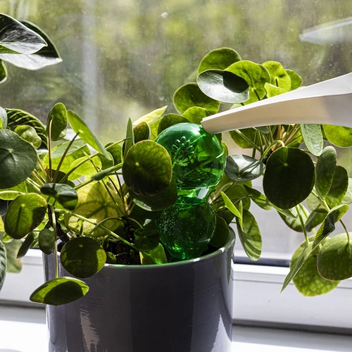 Háromkamrás öntözőgömb, átlátszó zöld, 600 ml - 6