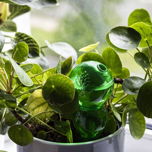 Háromkamrás öntözőgömb, átlátszó zöld, 600 ml - 7