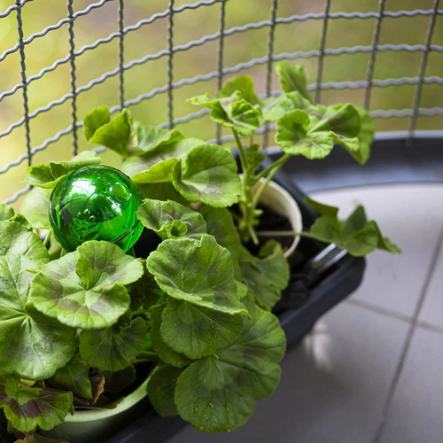 Háromkamrás öntözőgömb, átlátszó zöld, 600 ml - 8