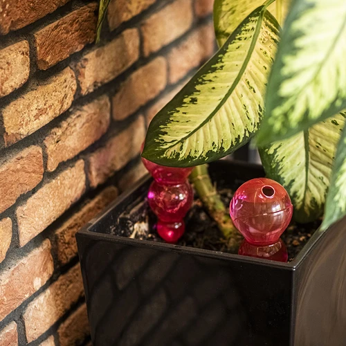 Háromkamrás (tripla) öntözőgömb, átlátszó rózsaszín, 600 ml - 8