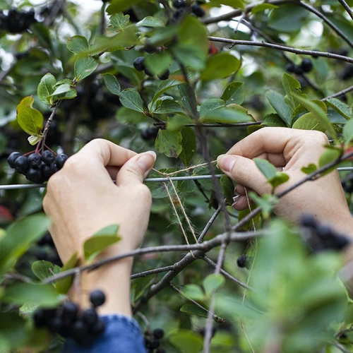 Juta zsineg 1,5 mm/100 m/100 g - 8