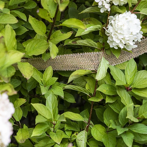 Jutaszalag 5 cm /  8 m - 5