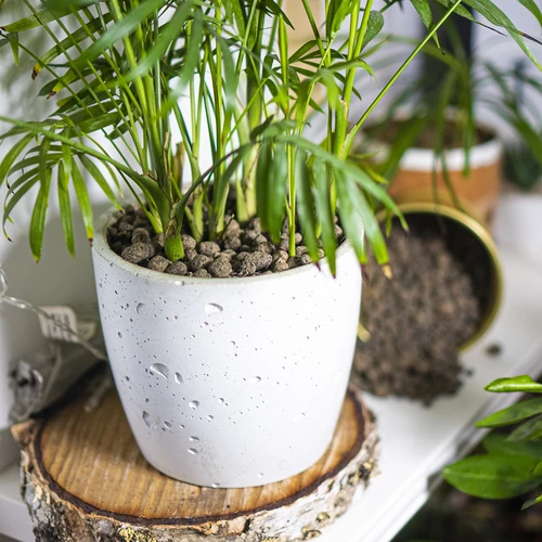 Keramizit cserepes növényekhez, kertészethez és üvegbe zárt minierdőkhöz, 10–20 mm, 4 l - 11