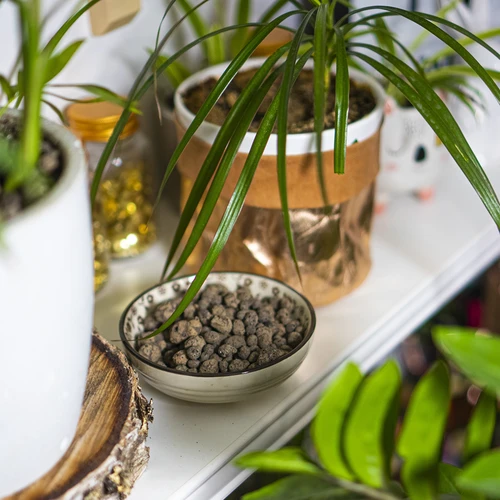 Keramzit cserepes növényekhez, kertészethez és üvegbe zárt erdőkhöz, 4–10 mm, 1 l - 8