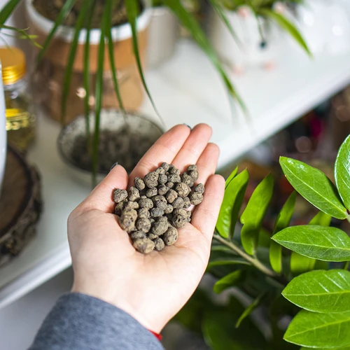 Keramzit cserepes növényekhez, kertészethez és üvegbe zárt erdőkhöz, 4–10 mm, 1 l - 11