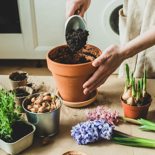 Kókuszhéj alapú aktív szén növényekhez 0,9 L - 7