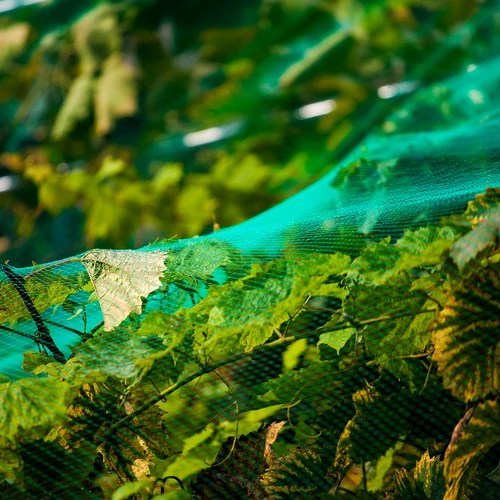 Madarak elleni védőháló, zöld, 4 m x 5m - 5