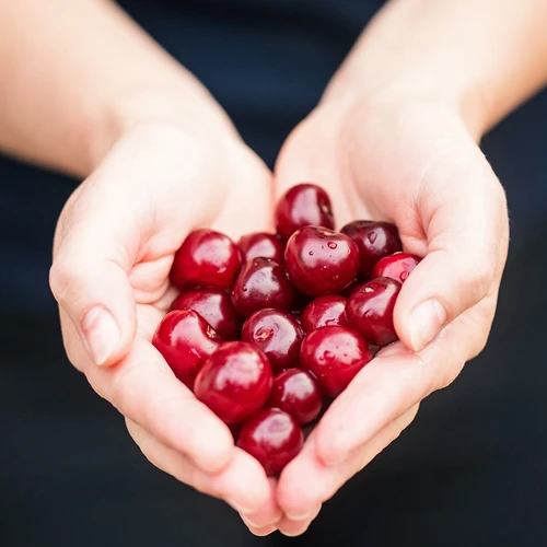 Meggy- és cseresznyemagozó - 11