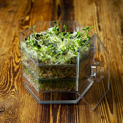 Niezłe Ziółko többszintes csíráztató retkmagokkal - 19