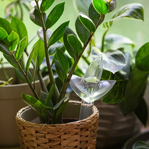 Növényöntöző – átlátszó, levél alakú, 120 ml - 7