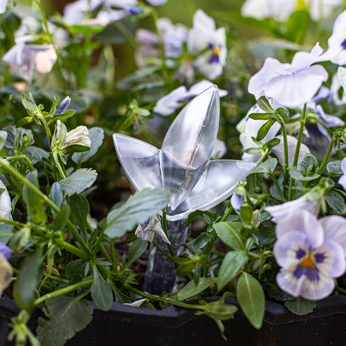 Növényöntöző – átlátszó, levél alakú, 120 ml - 8