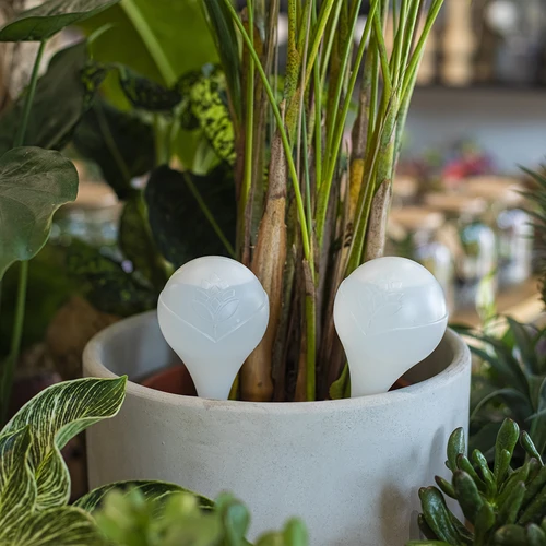 Öntözőgömb növényekhez, matt fehér, kerámia tüskével, 400 ml - 9