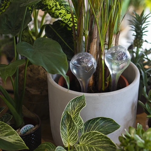 Öntözőgömbök növényekhez, átlátszó, 400 ml, 2 db - 9