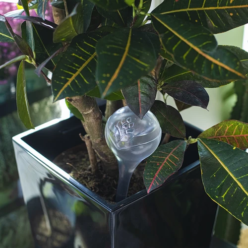 Öntözőgömbök növényekhez, átlátszó, 400 ml, 2 db - 10