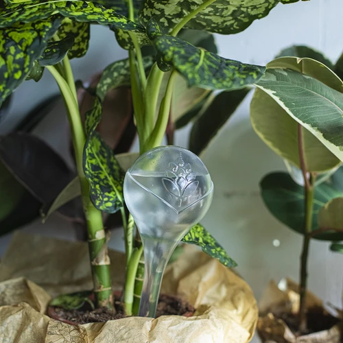 Öntözőgömbök növényekhez, átlátszó, 400 ml, 2 db - 11