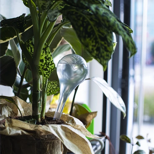 Öntözőgömbök növényekhez, átlátszó, 400 ml, 2 db - 12