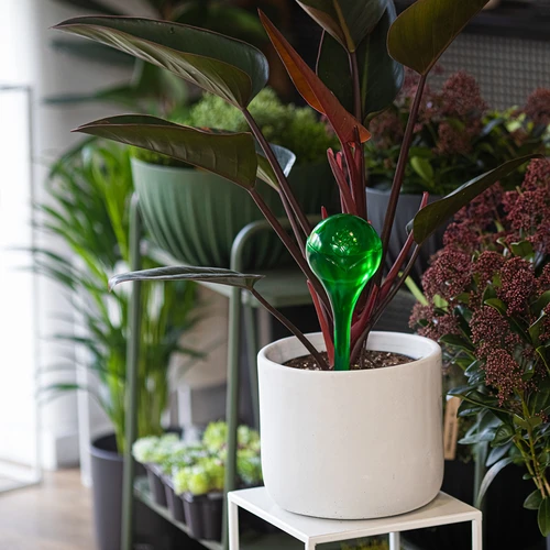 Öntözőgömbök növényekhez, áttetsző zöld, 400 ml, 2 db. - 10