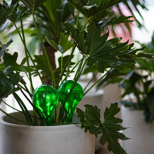 Öntözőgömbök növényekhez, áttetsző zöld, 400 ml, 2 db. - 13