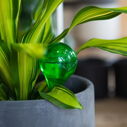 Öntözőgömbök növényekhez, áttetsző zöld, 400 ml, 4 db - 10