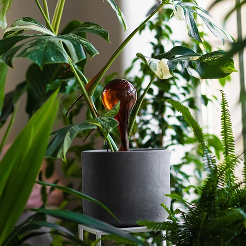 Öntözőgömbök növényekhez, borostyánszínű, átlátszó, 400 ml, 2 db - 10