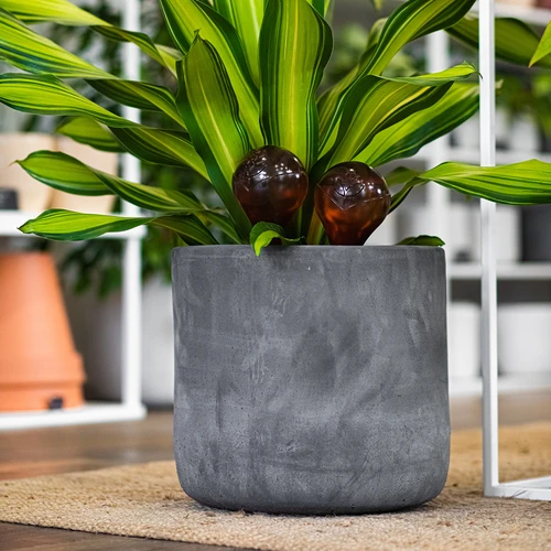 Öntözőgömbök növényekhez, borostyánszínű, átlátszó, 400 ml, 2 db - 13