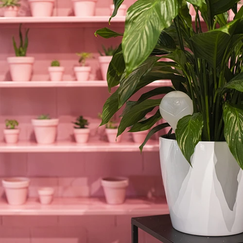 Öntözőgömbök növényekhez, fehér félátlátszó, 400 ml, 4 db - 12