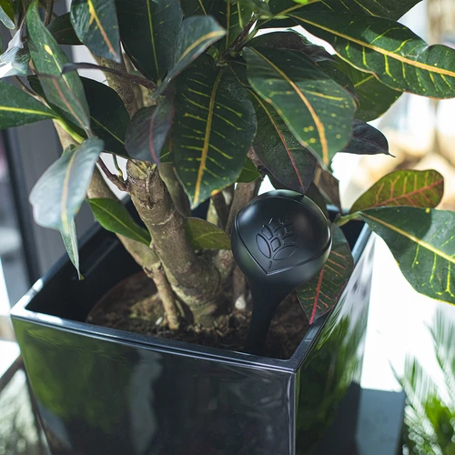 Öntözőgömbök növényekhez, matt fekete, 400 ml, 4 db - 9