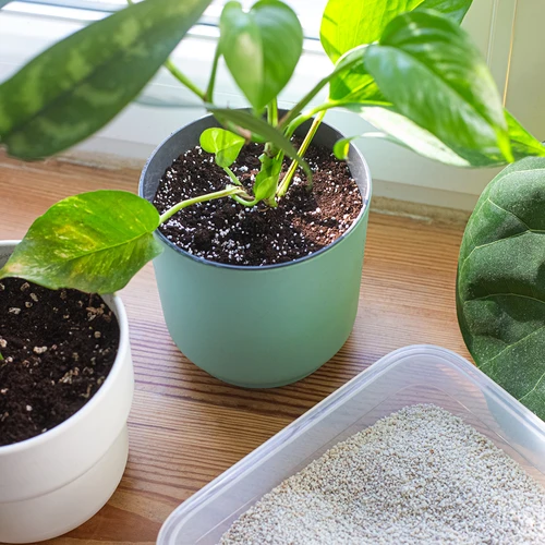 Perlit cserepes növényekhez és kertészkedéshez, 2 l - 8