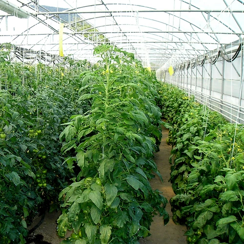 Polipropilén zsineg 1 mm/65 m/50 g - 5