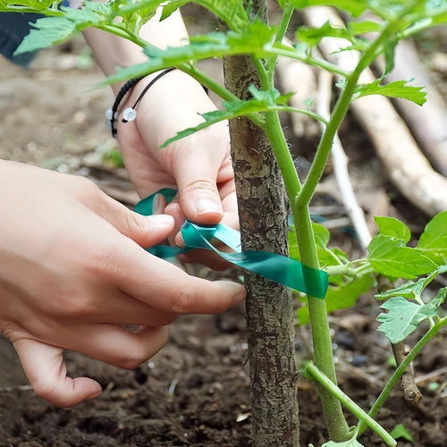 PVC növénykötöző szalag, 1,2 cm x 40 m - 4