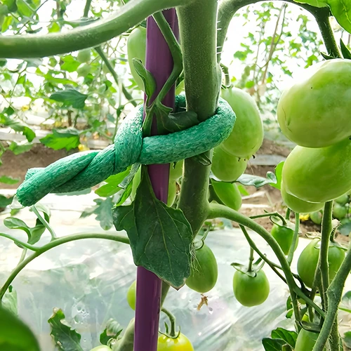 Szivacsbevonatú kerti kötöződrót, zöld, 10 m, Ø 10 mm - 4