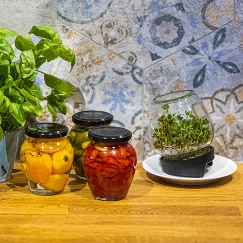 Twist-off csíráztató üveg + 5 csomag csíráztatómag - 14