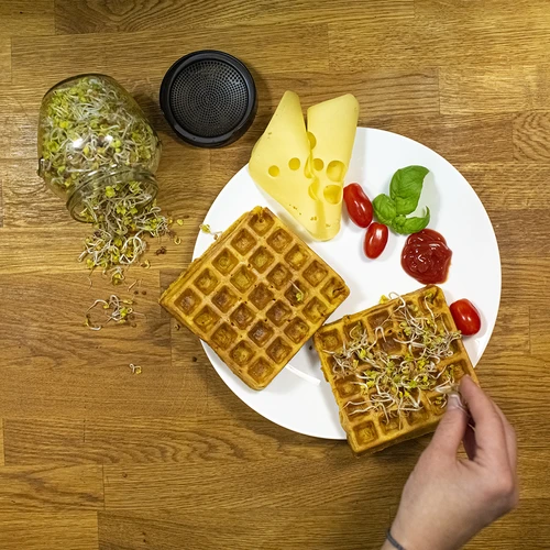 Twist-off csíráztató üveg + 5 csomag csíráztatómag - 13