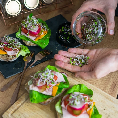 Twist-off csíráztató üveg + 5 csomag csíráztatómag - 12