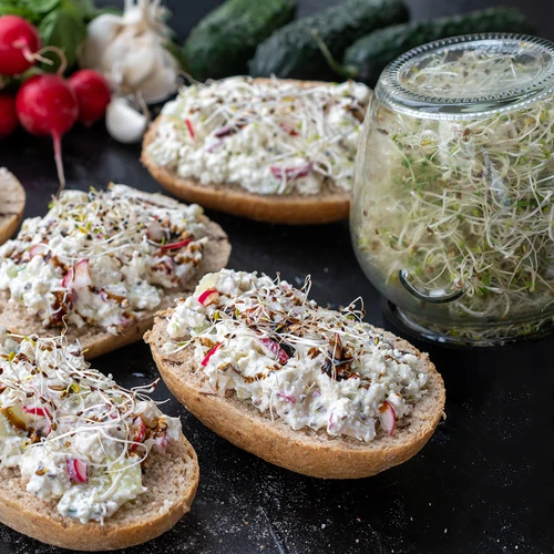 Twist-off csíráztató üveg + 5 csomag csíráztatómag - 10