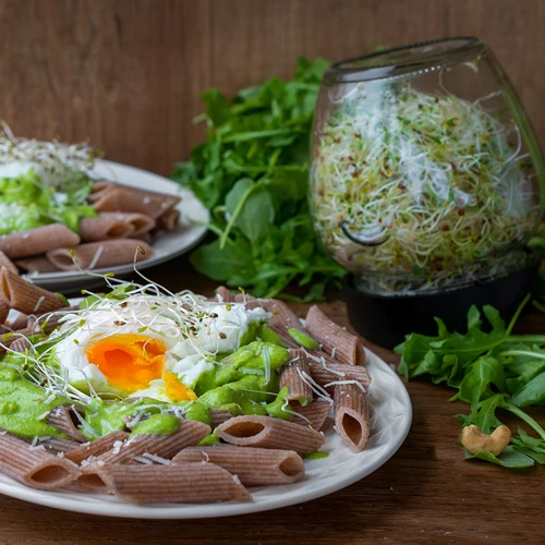 Twist-off csíráztató üveg retekmagokkal - 15