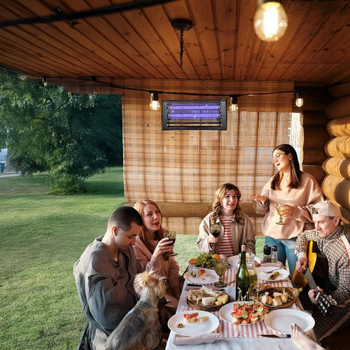 UVA rovarirtó lámpa 20 W, fekete - 9