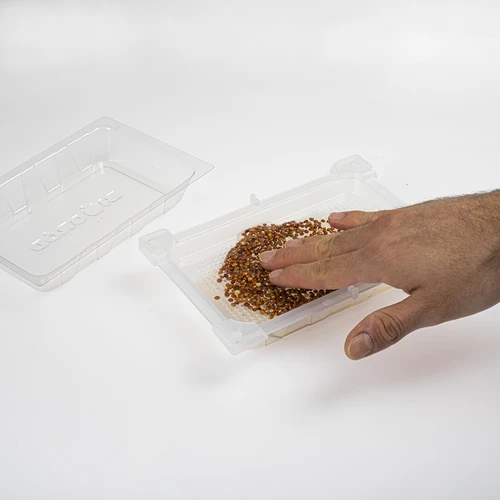 Zielona Czuprynka csíráztató retek magokkal - 6